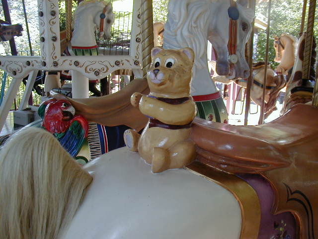 Click to display the next picture